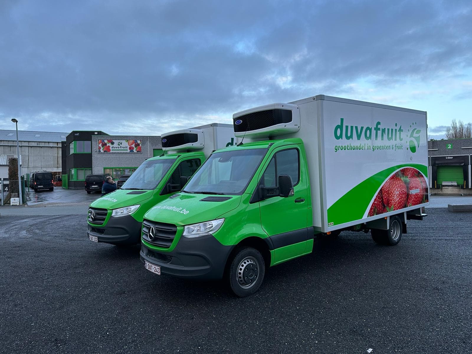 Twee groene Mercedes Sprinter koelwagens van Duvafruit met Carrier-koelgroep op het dak, opgesteld op de parking